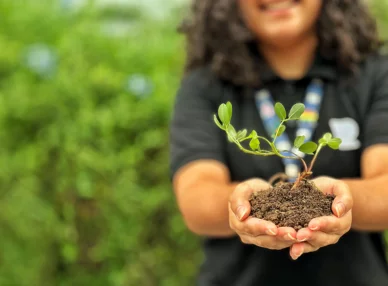RIBALTA HOSPITALIDADE MODERNIZA CASA DE EVENTOS E ROOFTOP DO HOTEL APÓS MAIS DE 20 ANOS